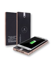 Portable Charger / Batteries